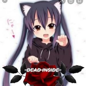 Meet your Posher, Lena